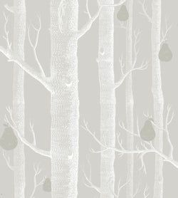 Color – White & Metallic Silver on Grey