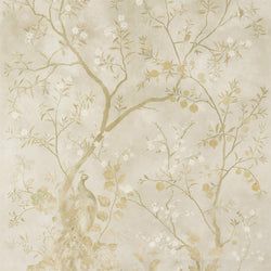 Color – Old Gold