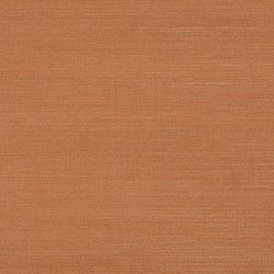 Color – Sienna