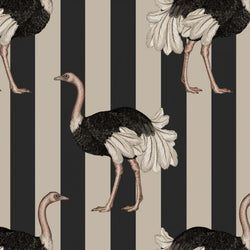 Color – Clay & Off-Black