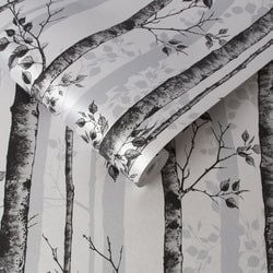 Color – Black & White