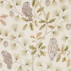 Color – Briarwood