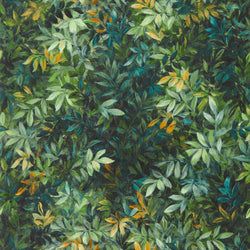 Color – Forest