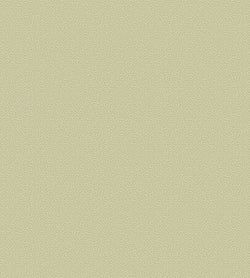 Color – Soft Olive