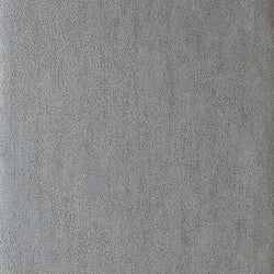 Color – Titanium