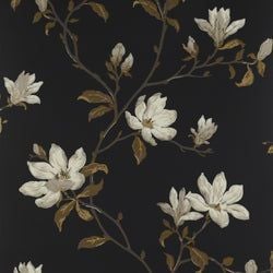 Color – Black