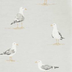 Color – Gull