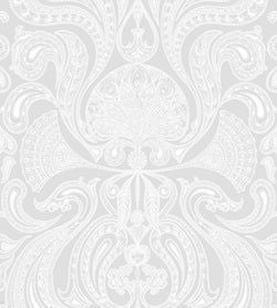 Color – Chalk on Dove