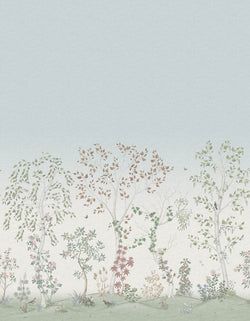Color – Clear Skies