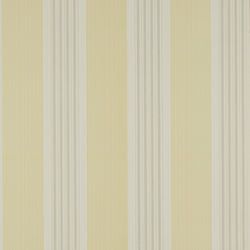Color – Yellow/Grey