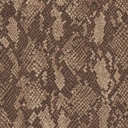 Color – Cocoa