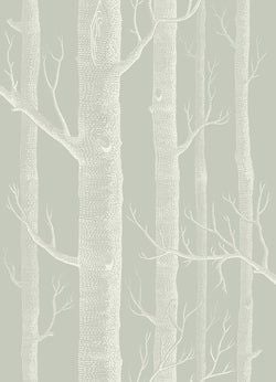 Color – Soft Olive