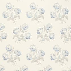Color – Blue/Grey