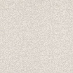 Color – Silver