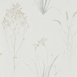 Color – Silver/Ivory
