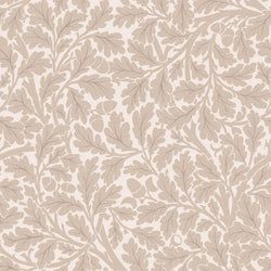 Color – Astrantia