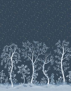 Color – Midnight