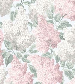 Blush & Dove on Silver Birch