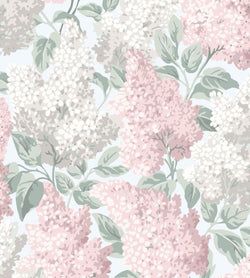 Color – Blush & Dove on Silver Birch