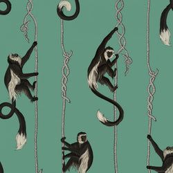 Color – Parakeet-Green
