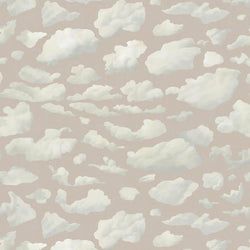 Color – Amanita