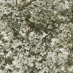Color – Sage