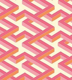 Color – Fuchsia & Orange on White