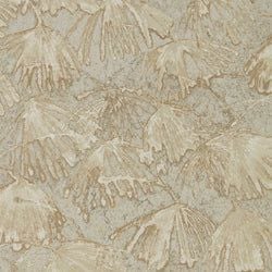 Color – Fossil