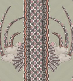 Color – Coral on Soft Olive