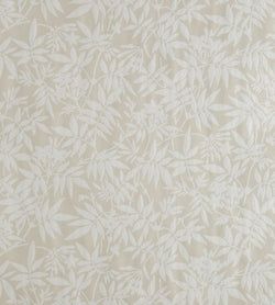 Color – Cream