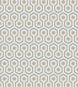 Color – Charcoal & Metallic Gilver on Stone