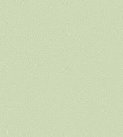 Color – Duck Egg