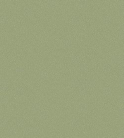 Color – Old Olive