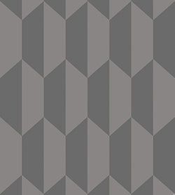 Charcoal and Metallic Pewter