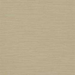 Color – Bone