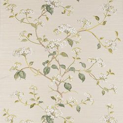 Color – Ivory