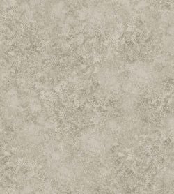 Warm Metallic Gilver