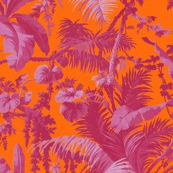 Color – Tangerine & Azalea