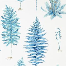 Color – China Blue