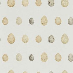 Color – Corn Graphite
