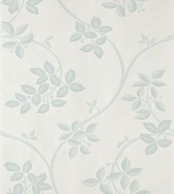 Color – Pale Powder