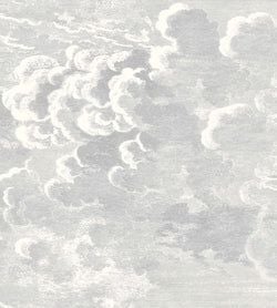 Color – Soot & Snow