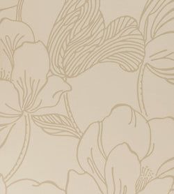 Color – White