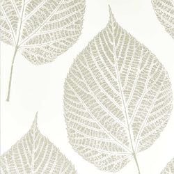Color – Chalk/Silver