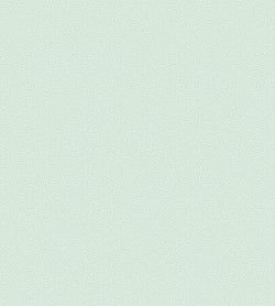 Color – Duck Egg