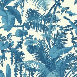 Color – Off-White & Cerulean