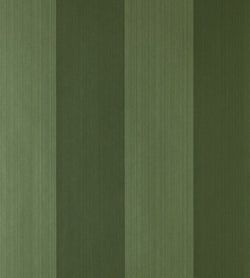 Color – Calke Green