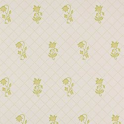 Color – Lime