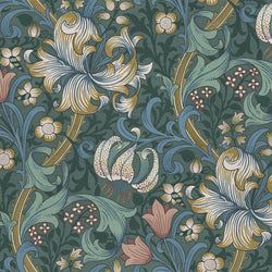 Color – Euphorbia