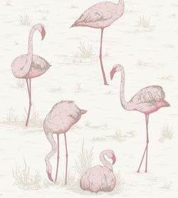 Blush & Cerise on White